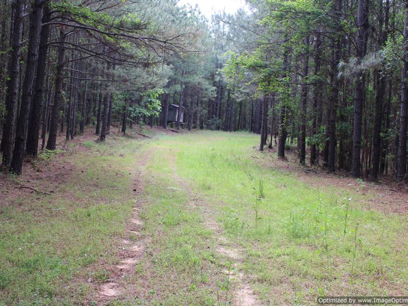 361 Ac Timber Tract, Attala County : McCool : Attala County : Mississippi