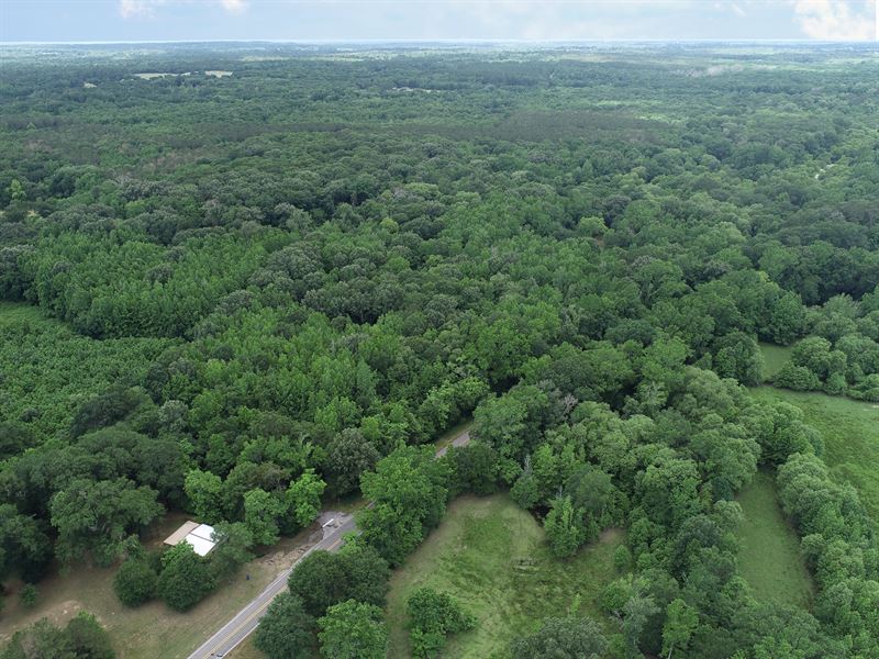 28 Wooded Acres, No Restrictions : Longview : Wood County : Texas