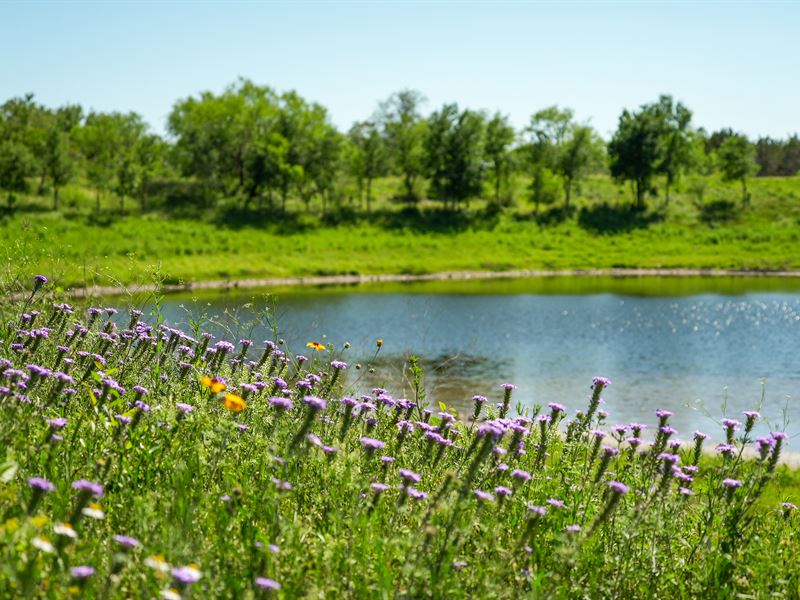 Mid-Winter Savings : Hondo : Medina County : Texas