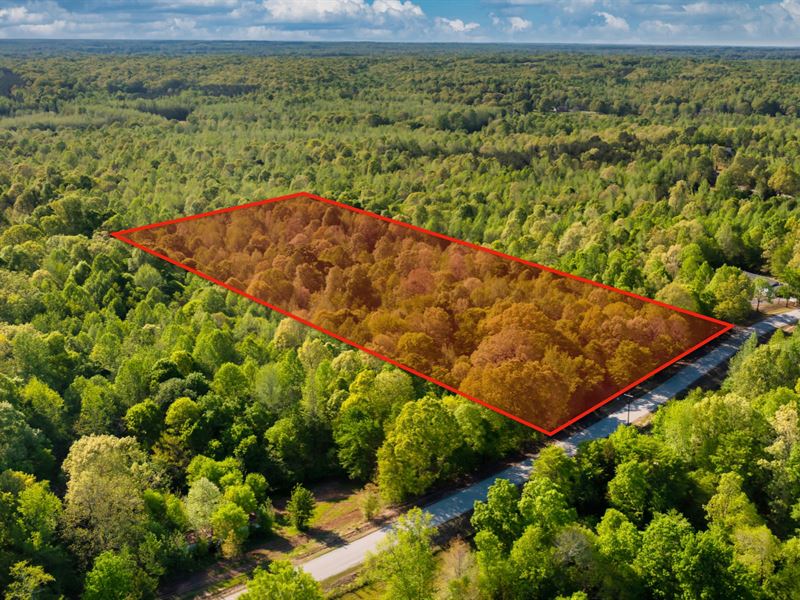 Wooded Acreage, Road & Utilities : Jackson : Madison County : Tennessee