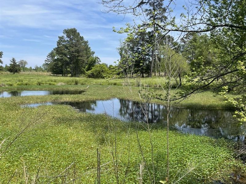 Home Site 35 Horse or Cattle Ranch : Fouke : Miller County : Arkansas