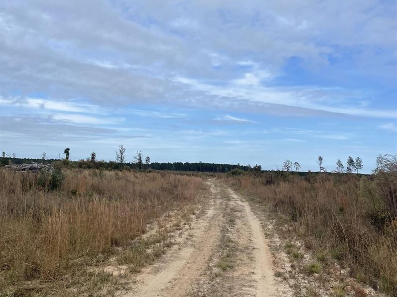 Reader Railroad Timber & Hunting Tr : Reader : Nevada County : Arkansas