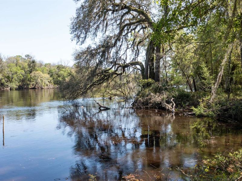 Step Back Into Historic Florida : Mayo : Lafayette County : Florida