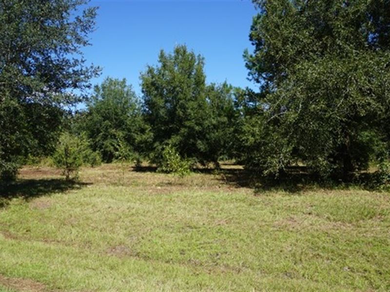 New Subdivision in Wellborn : Wellborn : Suwannee County : Florida