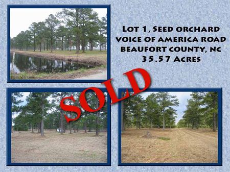 Seed Orchard Lot : Washington : Beaufort County : North Carolina