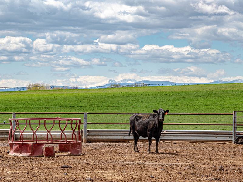 Bull Ridge Farms and Water : Wellington : Larimer County : Colorado