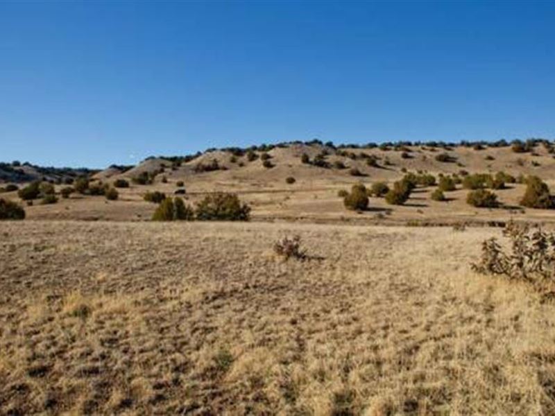 42+/- Ac, Colorado, Back to Nature : Trinidad : Las Animas County : Colorado