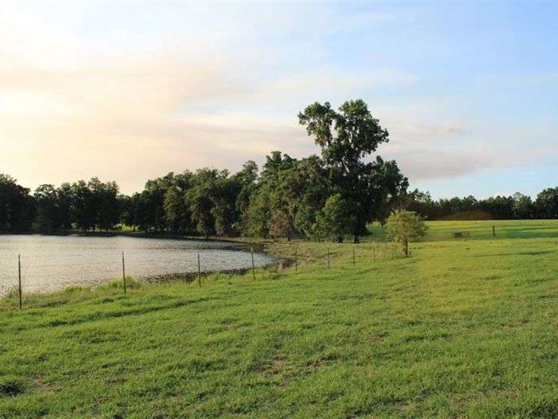 Farmland, Pastureland, Lakes & Home : Lake Park : Lowndes County : Georgia