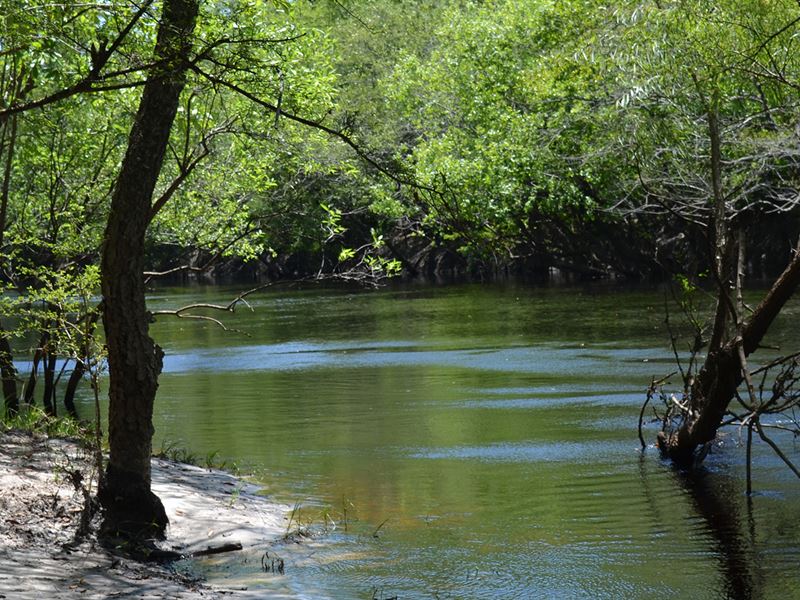 St. Mary's Riverfront Property : Bryceville : Nassau County : Florida