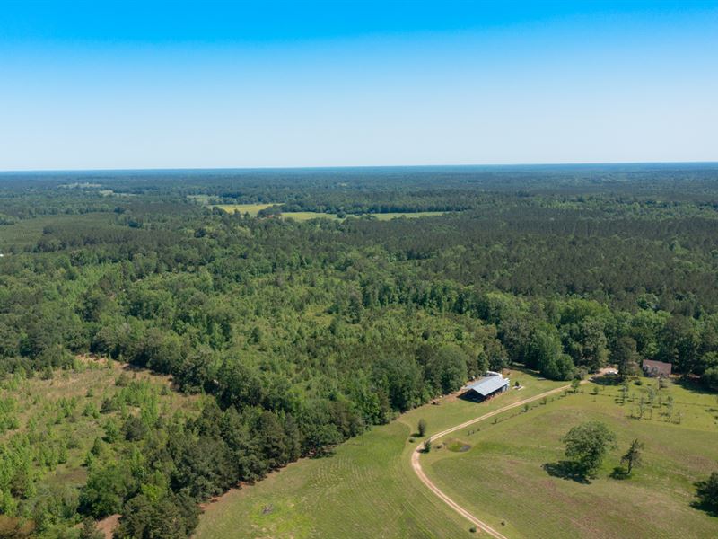 Unrestricted Wooded Land : Tenaha : Shelby County : Texas