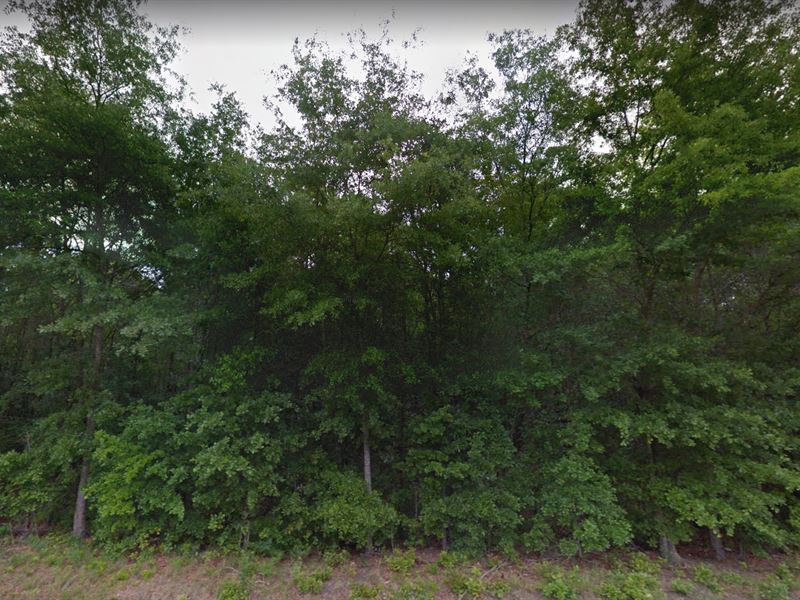 3 Homes Allowed on Lot, Fsbo : Bowman : Orangeburg County : South Carolina