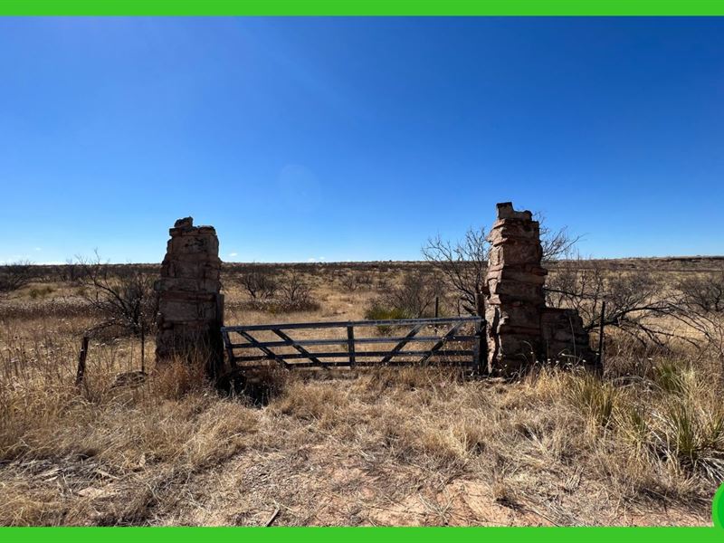4 Adjacent Lots in Amarillo, TX : Amarillo : Potter County : Texas