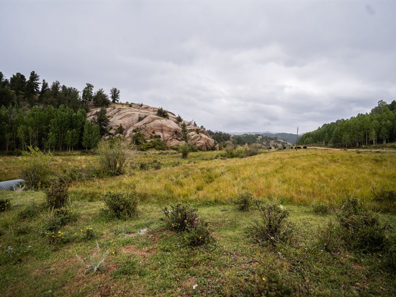 1.57 Acres with Trees & Power : Cripple Creek : Teller County : Colorado