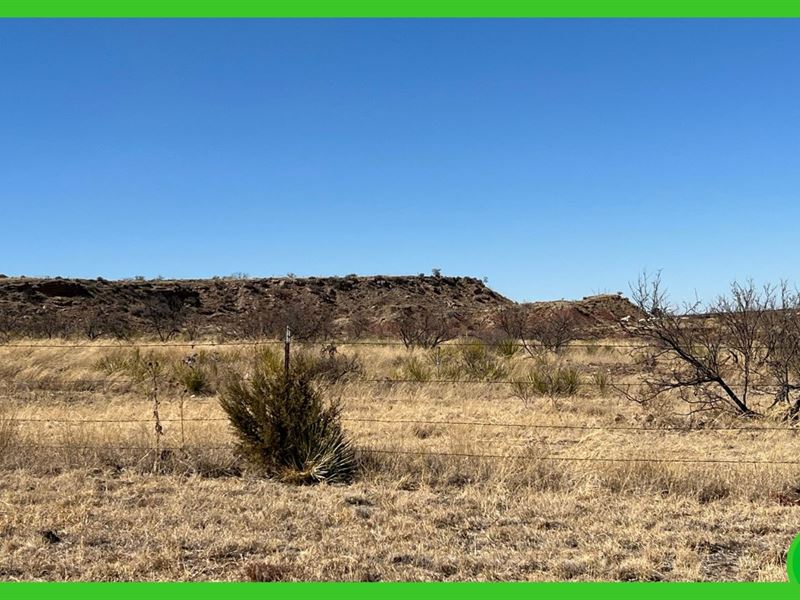 4 Adjacent Lots in Amarillo, TX : Amarillo : Potter County : Texas