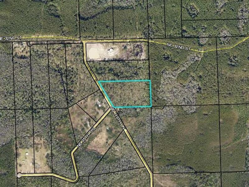 10.21 Acres of Deer Woods : Jasper : Hamilton County : Florida