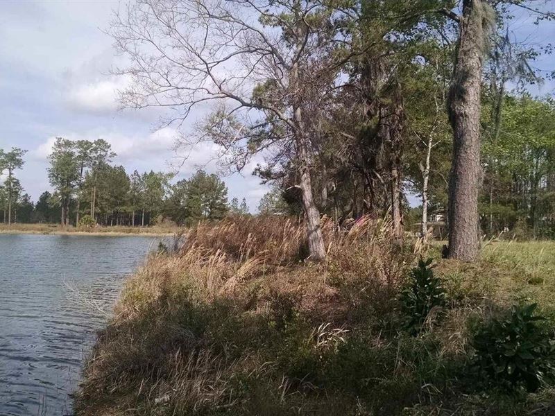 2-Acre Sfr Lakefront Lot : Folkston : Charlton County : Georgia