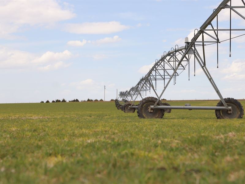 Brunner Irrigated Farm : Sterling : Logan County : Colorado
