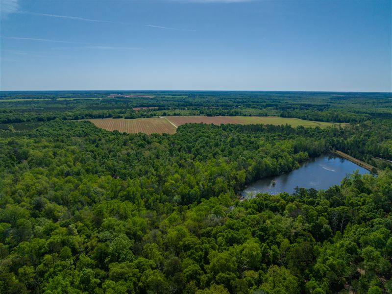 The Wills Estate, Webster County, Land for Sale in 321120