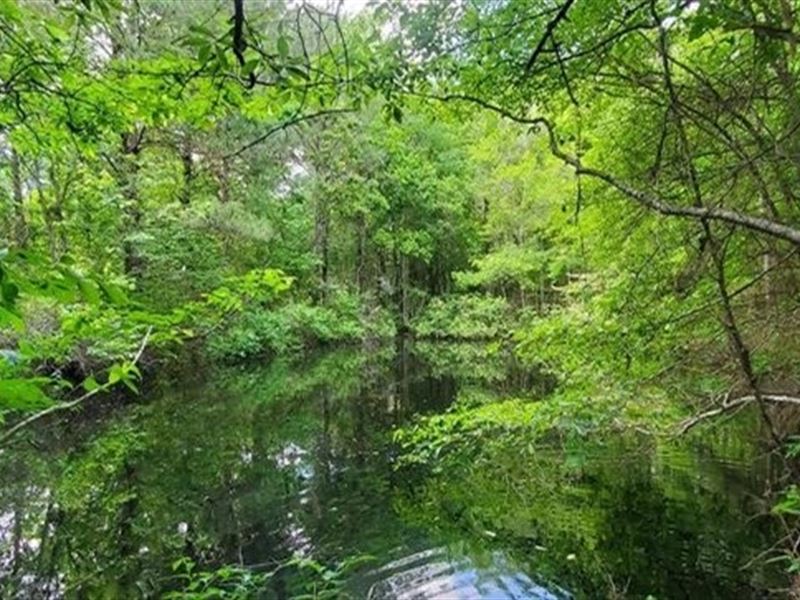 16.5 Acres in Lawrence County in Si : Silver Creek : Lawrence County : Mississippi