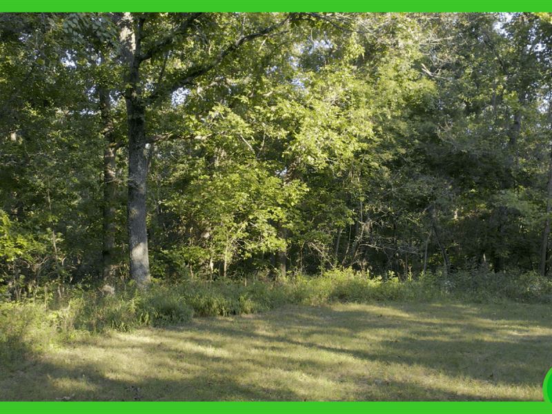 2.75 Acres in Benton County, MO : Edwards : Benton County : Missouri