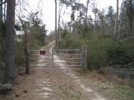 239 Acs Joins Desoto Natonal Forest : Beaumont : Forrest County : Mississippi