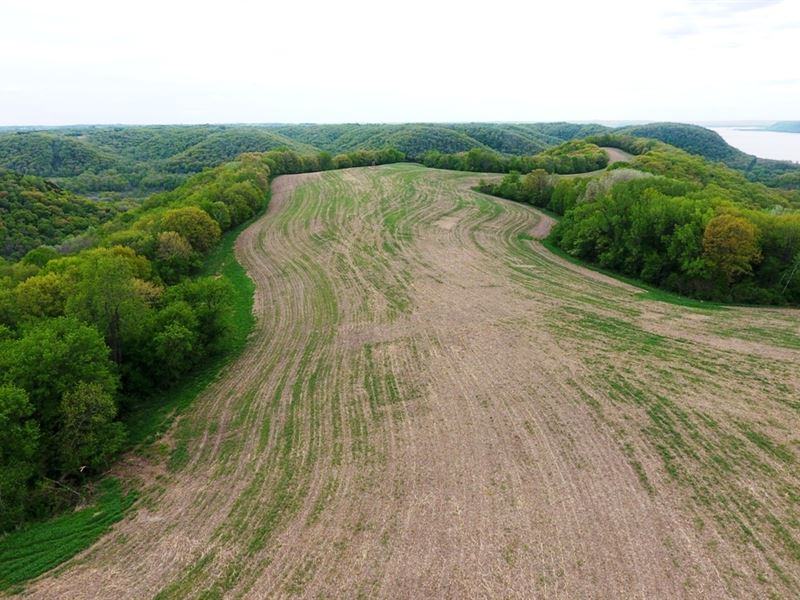 Crawford County Trophy Farm : Ferryville : Crawford County : Wisconsin