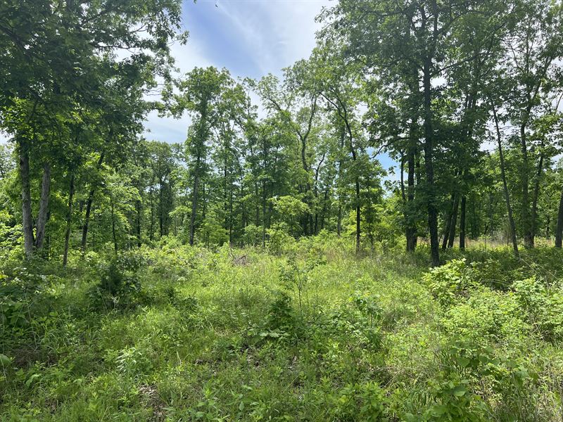 9.01 Acres Close to Lake of Ozarks : Lincoln : Benton County : Missouri