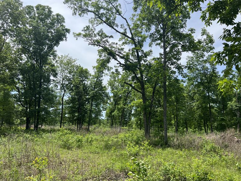 8.23 Acres Close to Lake of Ozarks : Lincoln : Benton County : Missouri