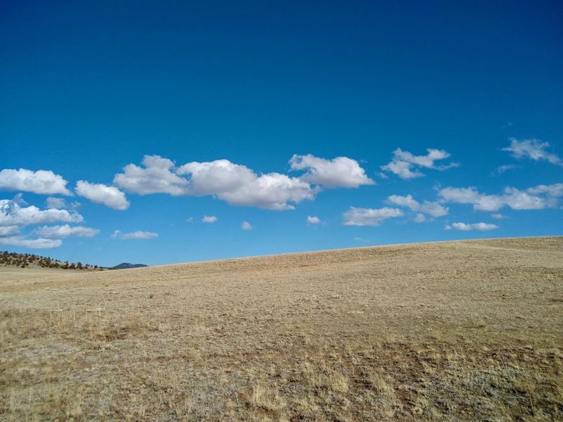 Jumano Trail : Hartsel : Park County : Colorado