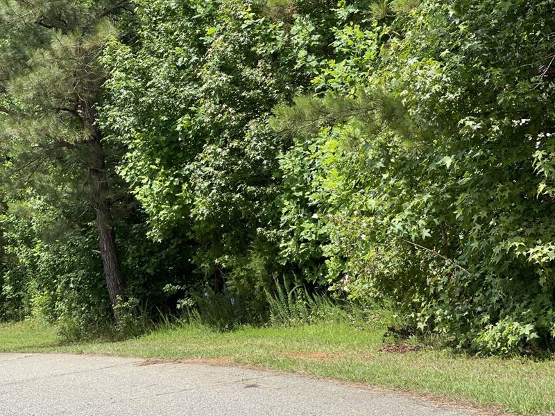 .51 Acre for Sale in Woodleaf, NC : Woodleaf : Rowan County : North Carolina