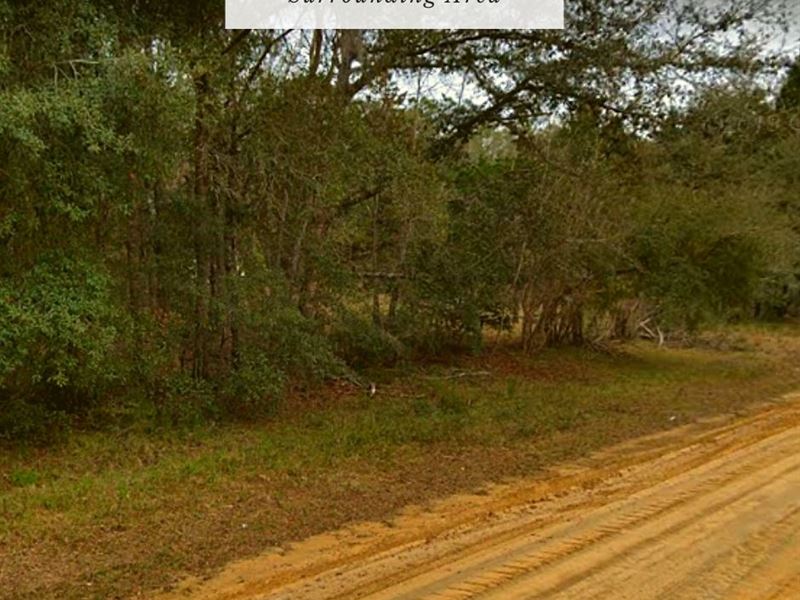 .52 Acre Only $1 Down, $299/Mo : Interlachen : Putnam County : Florida