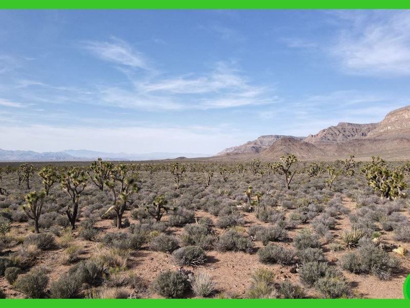 1.25 Acres in Mohave County, AZ : Meadview : Mohave County : Arizona