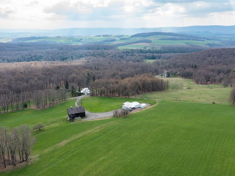 Beautiful Countryside Views : Garrett : Somerset County : Pennsylvania