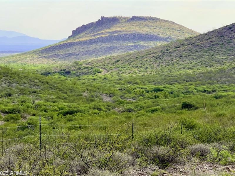 Private Well 12 Months Same As Cash : Douglas : Cochise County : Arizona