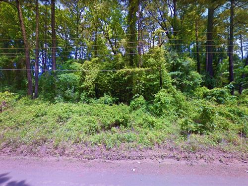 .28 Acre in Hemphill, $200/Mo : Hemphill : Sabine County : Texas