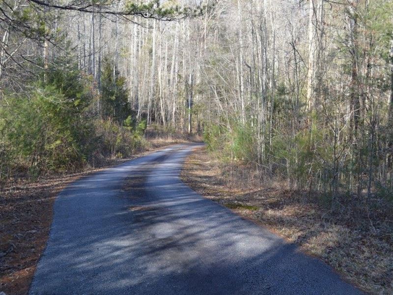 5.94-Acres-Beautiful Wooded Lot : Cleveland : Pickens County : South Carolina