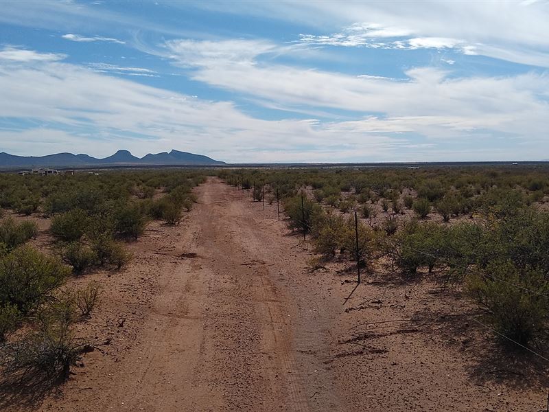 Lost in Paradise : Hereford : Cochise County : Arizona