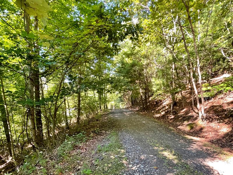 Beautiful, Buildable, Mountain Top : Fleetwood : Ashe County : North Carolina