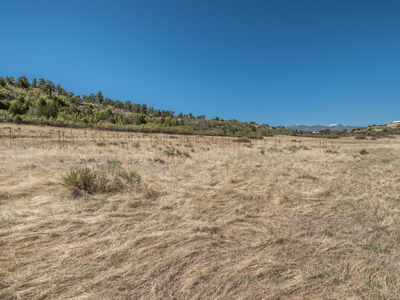 Gorgeous Plains with Mountain Views : Colorado City : Pueblo County : Colorado