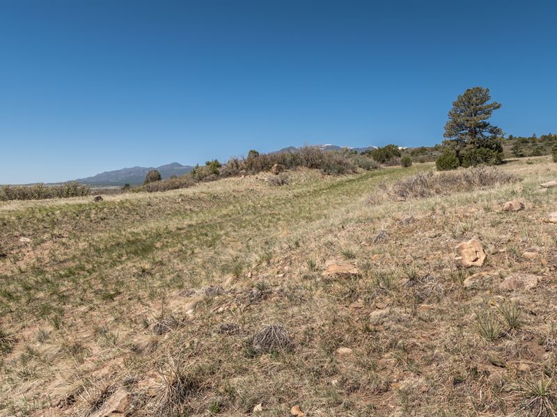 Mountain Views, Power 300 Feet Away : Colorado City : Pueblo County : Colorado