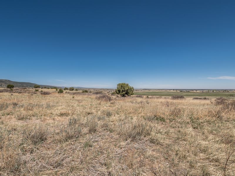 Green Plains with Scenic Views : Colorado City : Pueblo County : Colorado