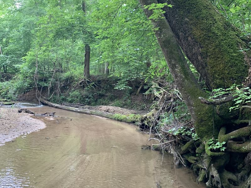 Beaverdam Creek Tract : Carlton : Oglethorpe County : Georgia