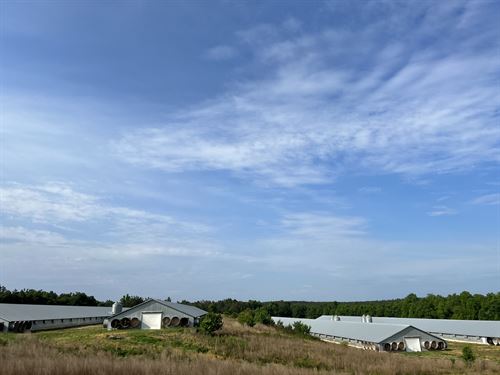 Large Poultry Farm, Broiler : Kershaw : South Carolina