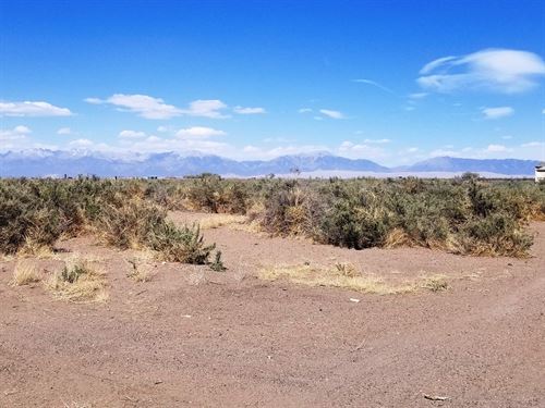 .07 Acre in Alamosa County, CO : Mosca : Alamosa County : Colorado