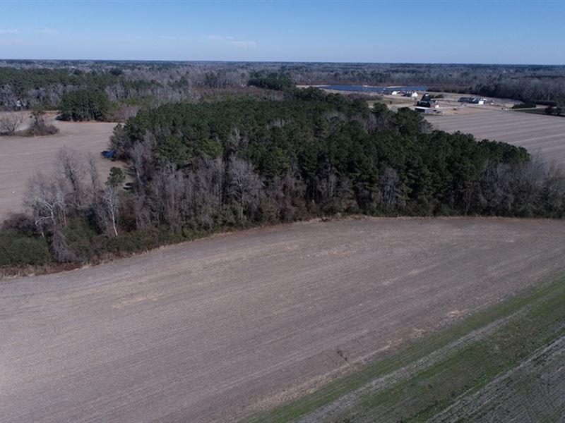 Beautiful Farm & Home Site : Fairmont : Robeson County : North Carolina
