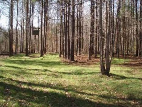 1600 Acres Exc Timber and Hunting : Lexington : Holmes County : Mississippi