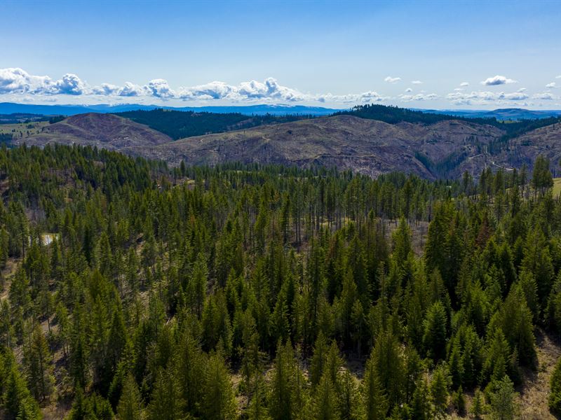 Elk Run, Lot 3 : Weippe : Clearwater County : Idaho