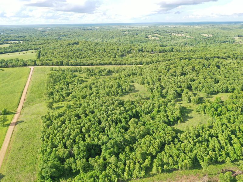 Benton County 85 Acre Hunting Tract : Edwards : Benton County : Missouri