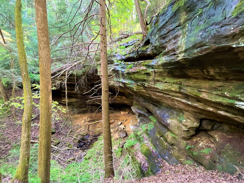 True Hocking Hills Gem, Waterfall : South Bloomingville : Hocking County : Ohio