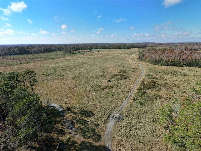 Knight Taylor Ranch Middle Tract : Tennille : Taylor County : Florida